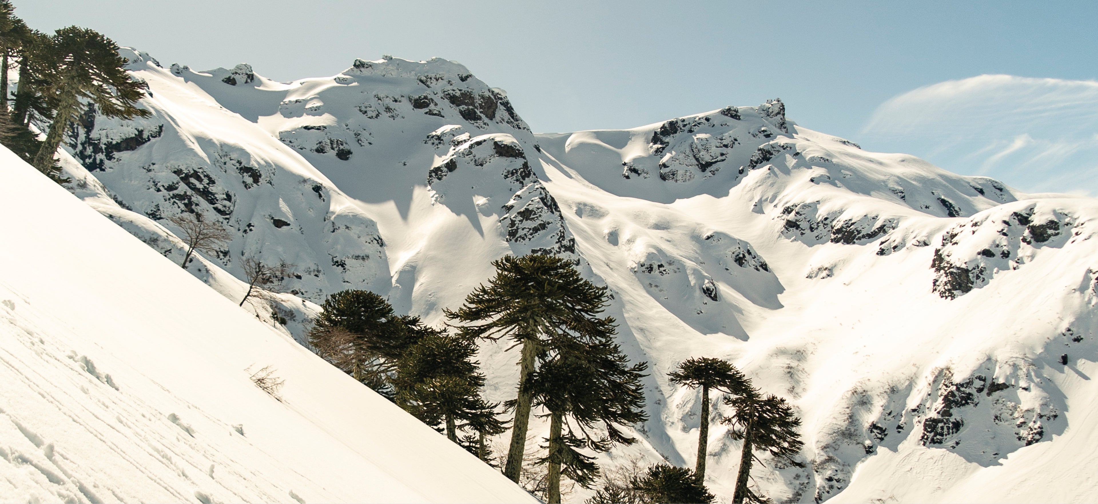 banner-desktop