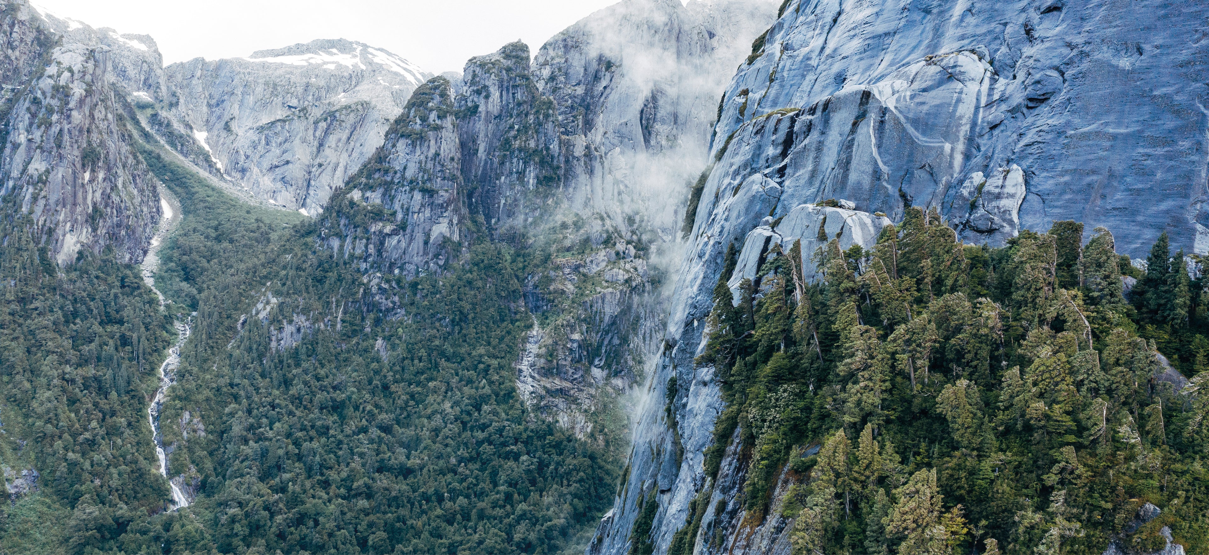 banner-desktop