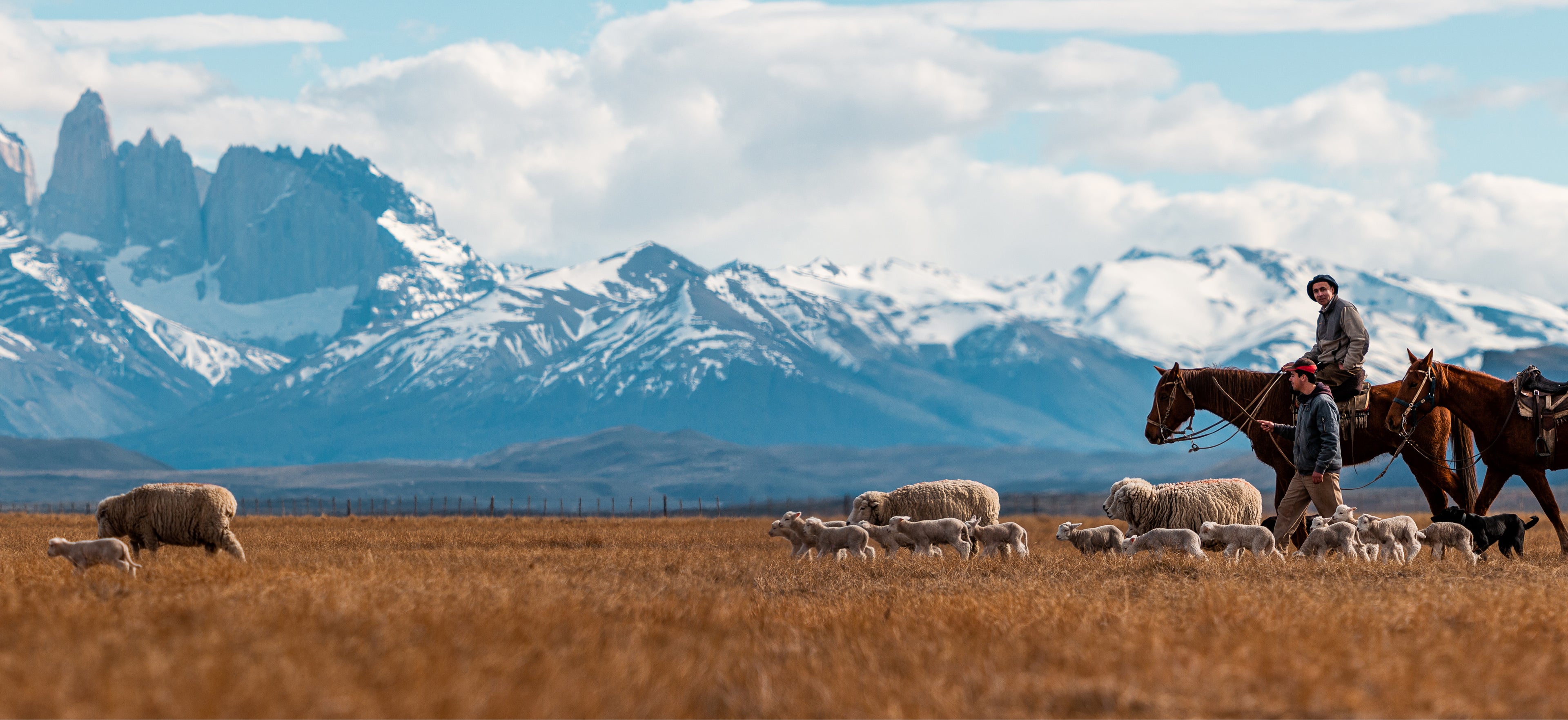 banner-desktop