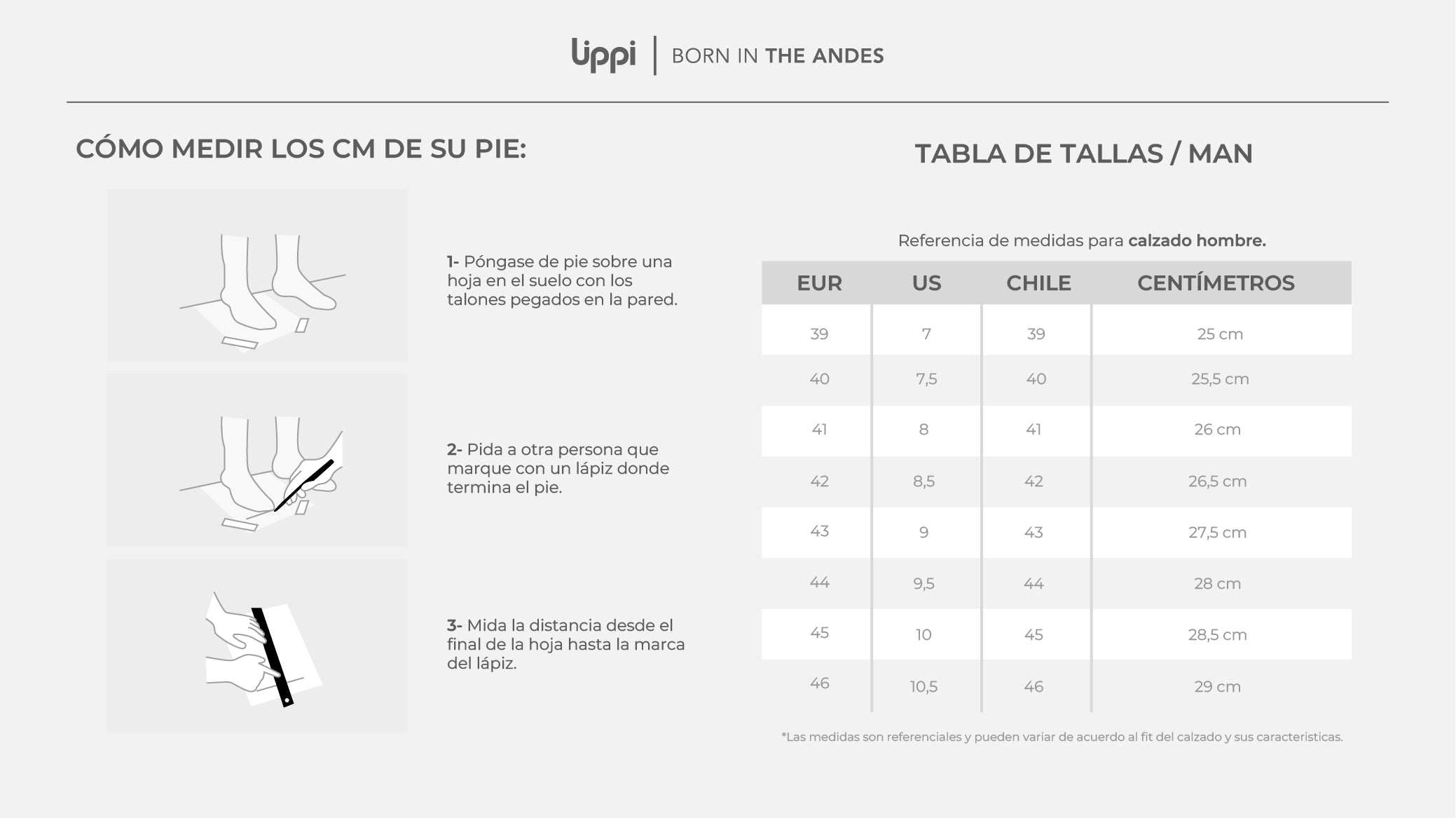 Guía de tallas Lippi