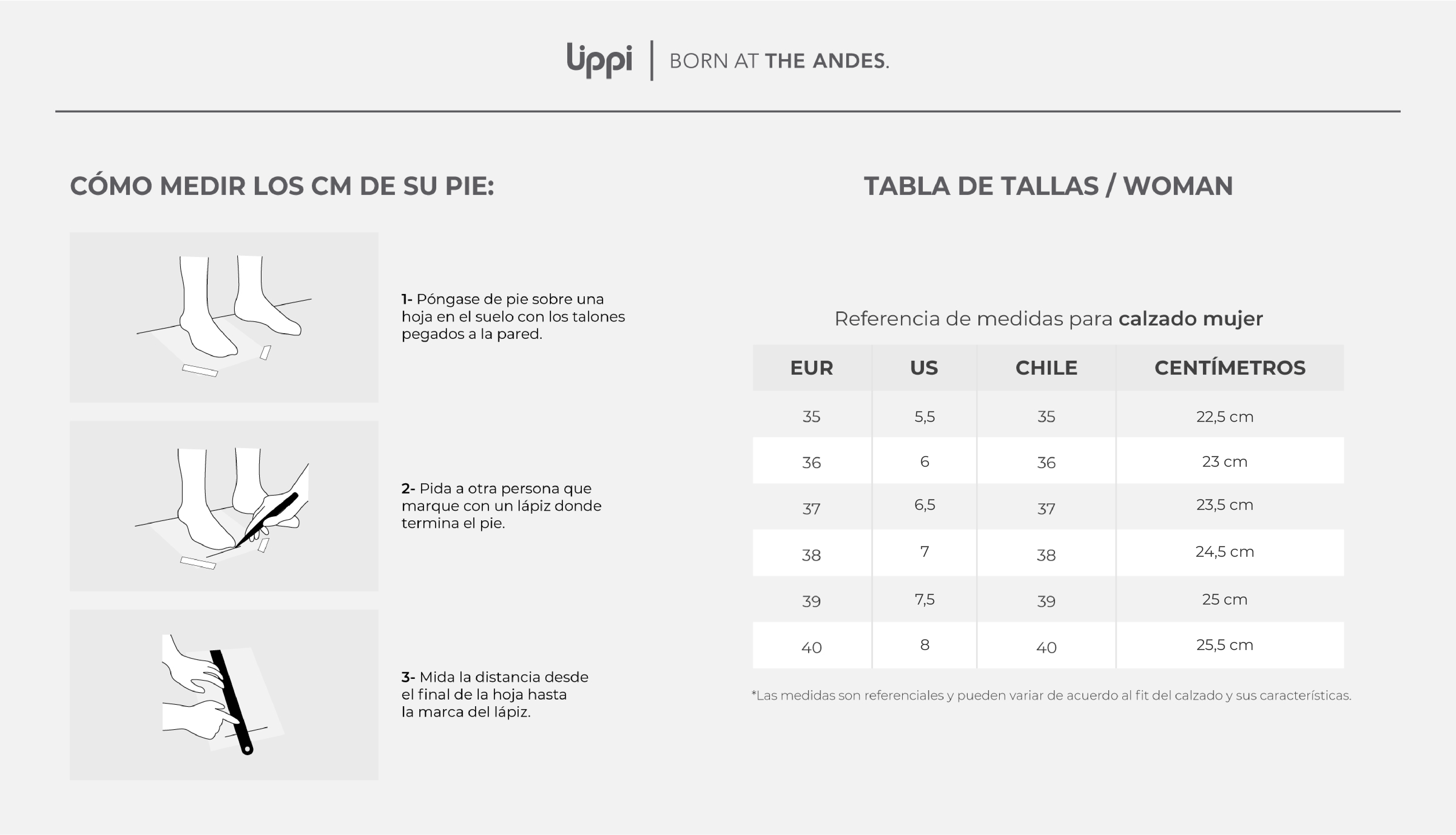 Guía de tallas Lippi