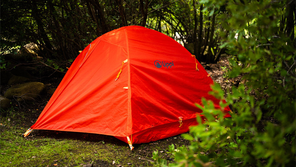 logo LippiOutdoor