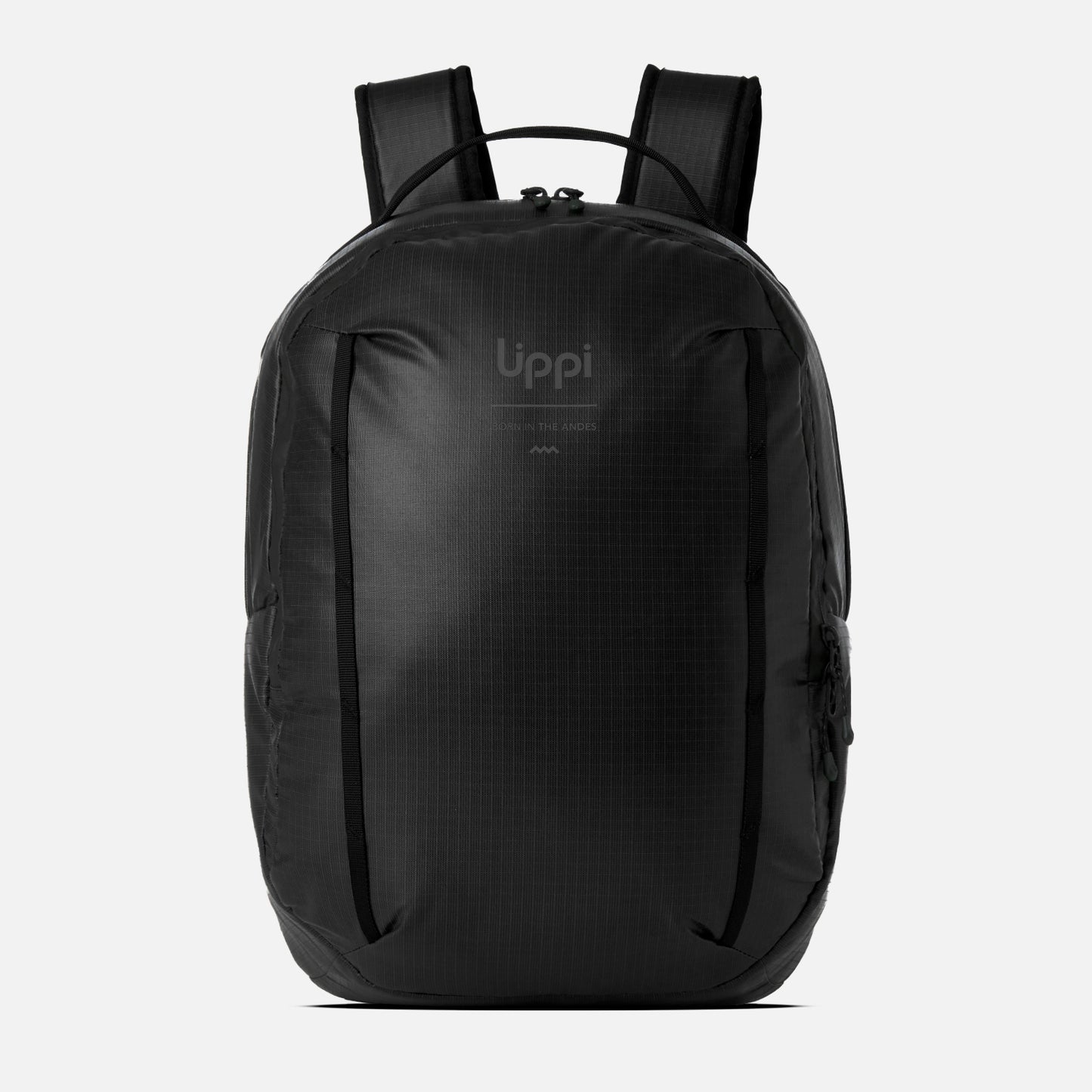 Mochila Venture Daypack 20L Negro  Lippi