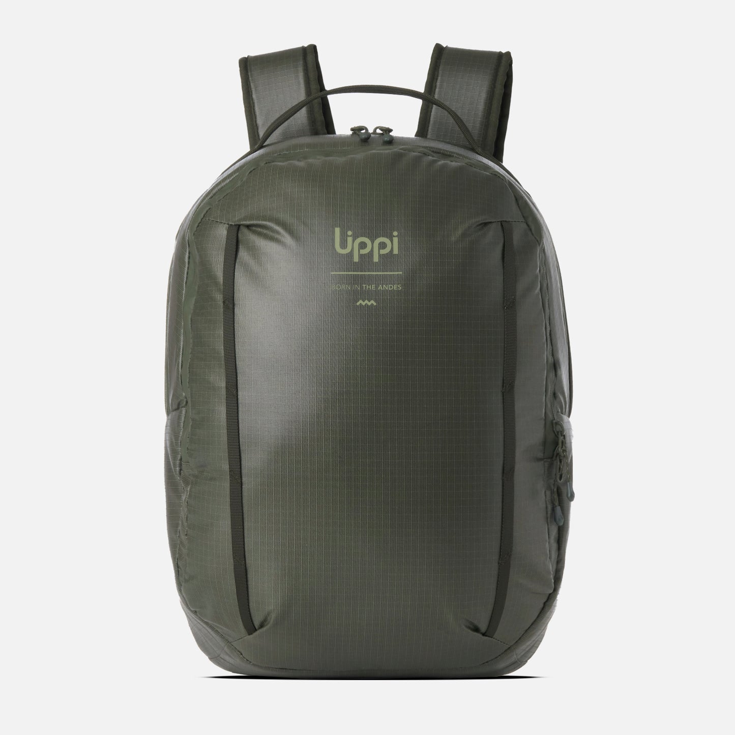 Mochila Venture Daypack 20l Verde Militar Lippi