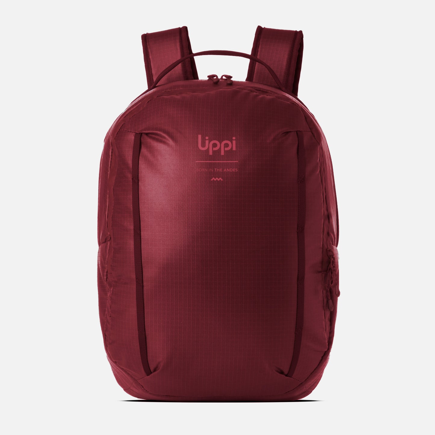 Mochila Venture Daypack 20L Burdeo Lippi