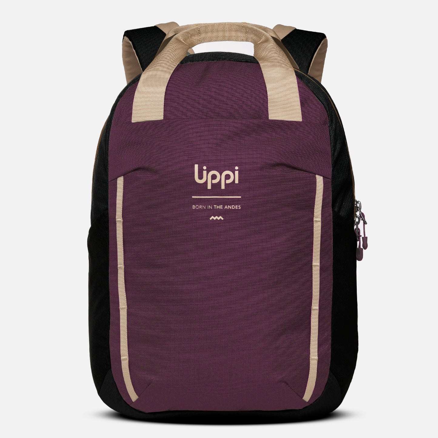 Mochila Compact Move 20L Burdeo Lippi