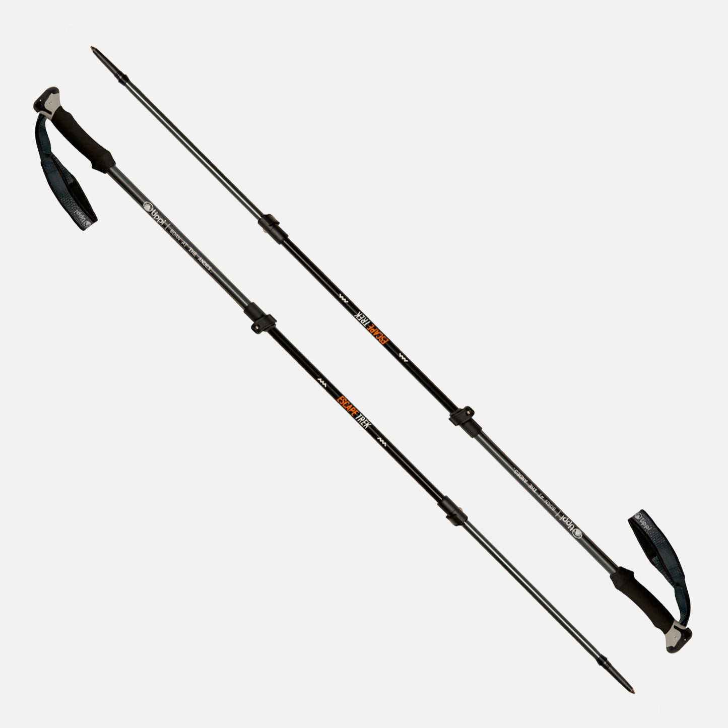 Bastones Escape Trek Pole Gris Lippi