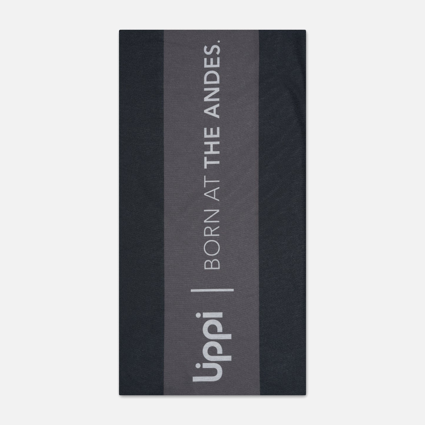 Headex Q-Dry Gris Oscuro Lippi