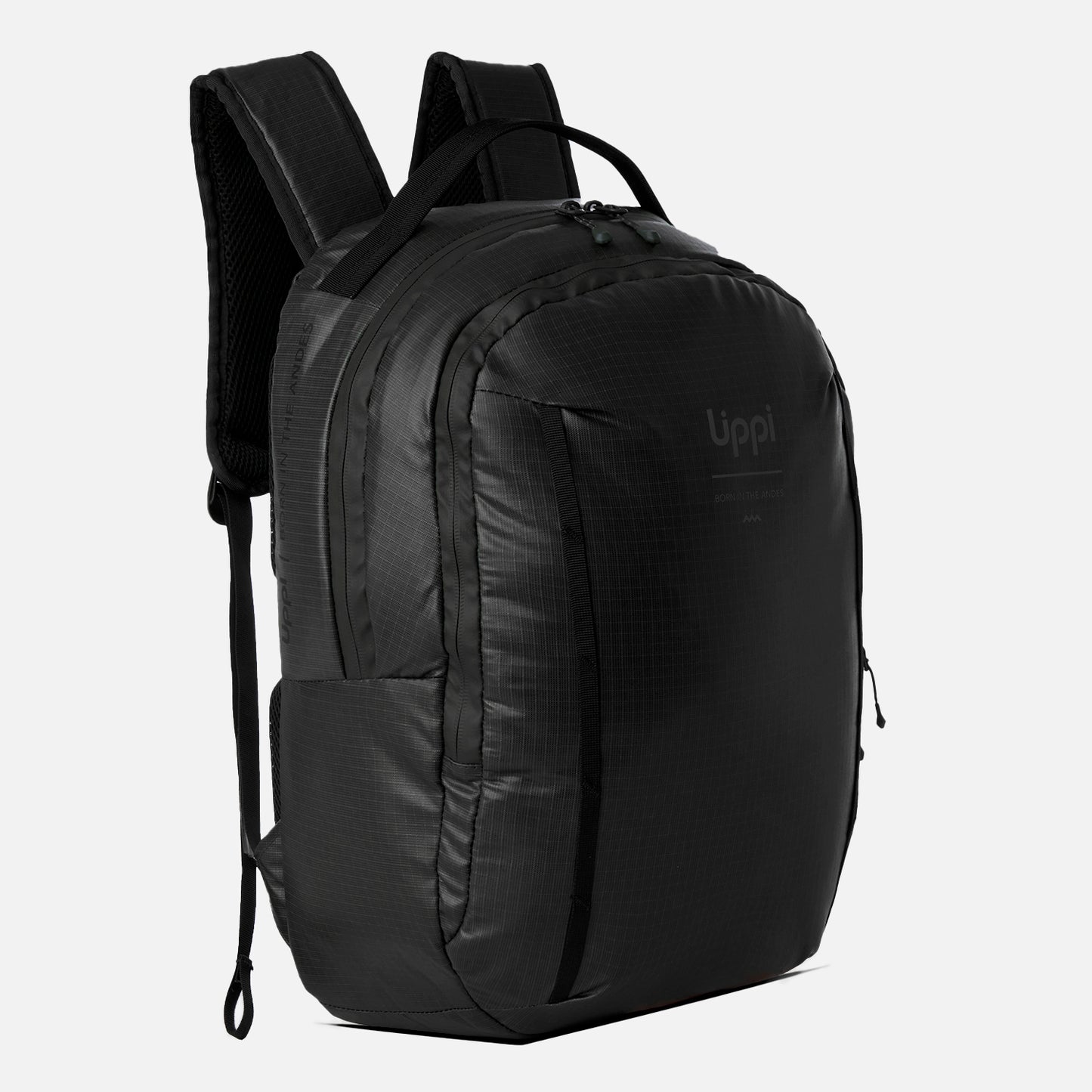 Mochila Venture Daypack 20l Negro Lippi