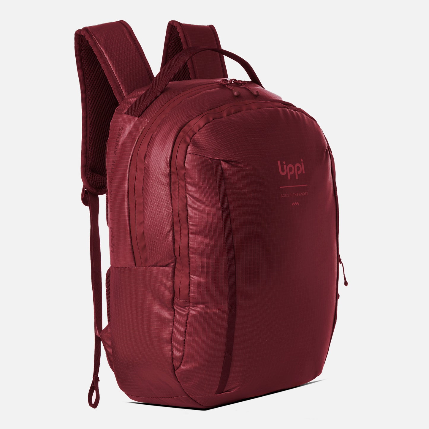 Mochila Venture Daypack 20L Burdeo Lippi