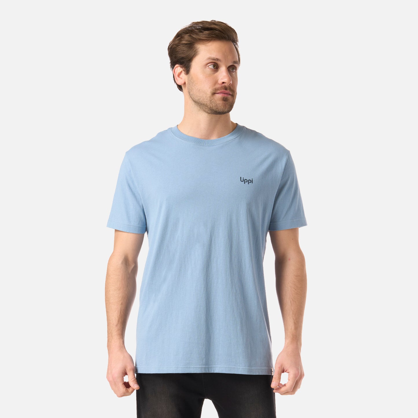 Polera Hombre Mountain Vibes T-Shirt Azul Piedra Lippi