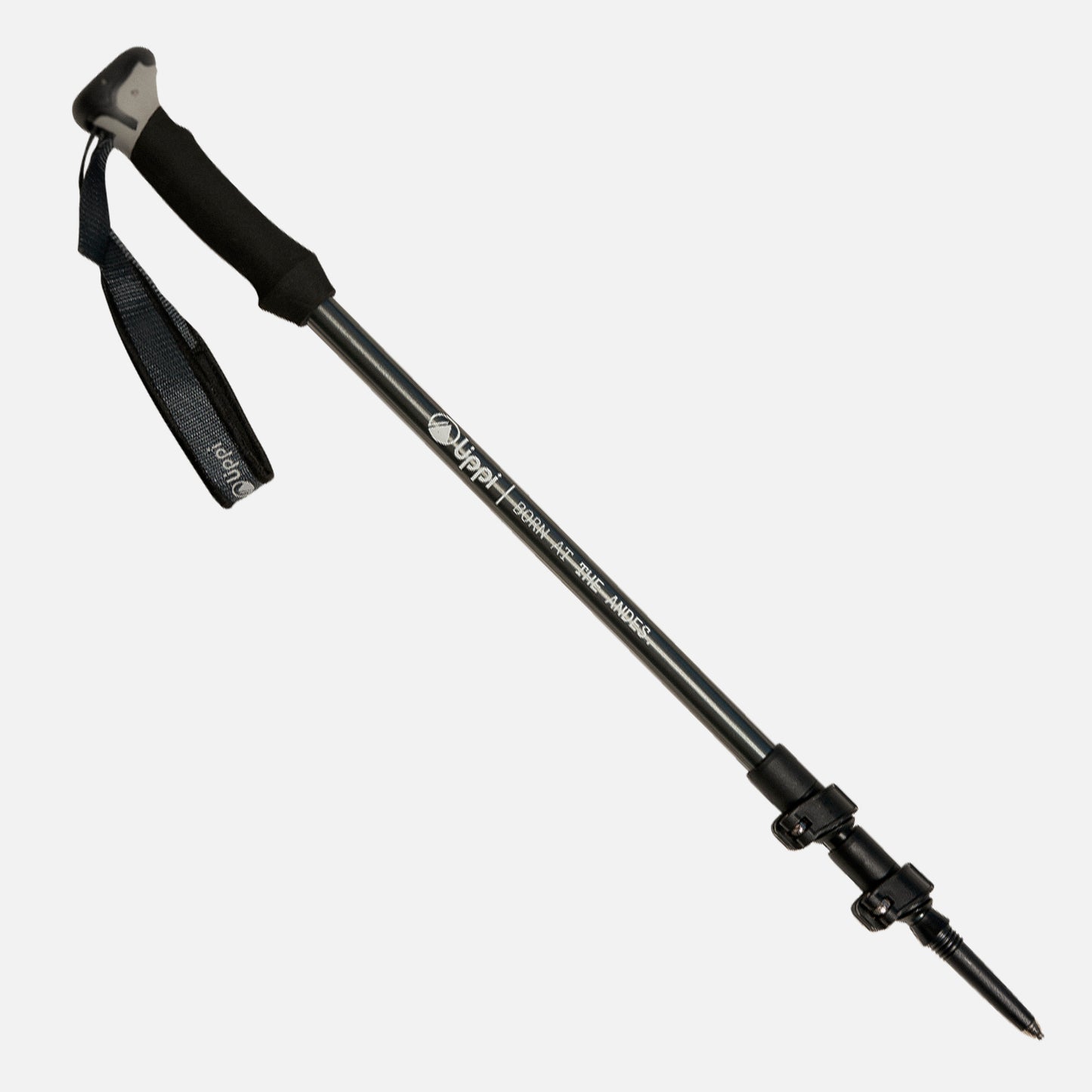 Bastones Escape Trek Pole Gris Lippi