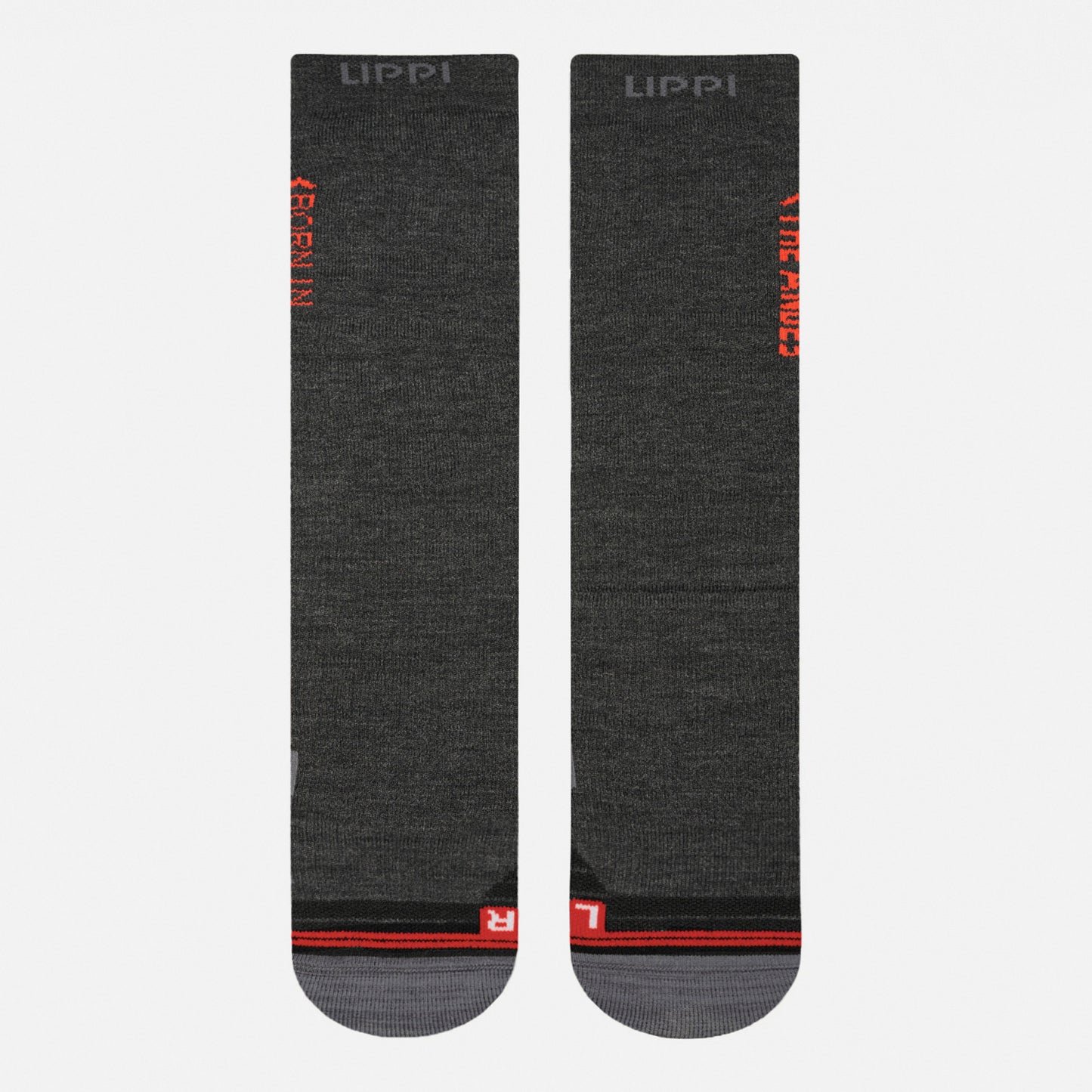 Calcetín Hombre All Mountain Ski Socks Negro Melange Lippi