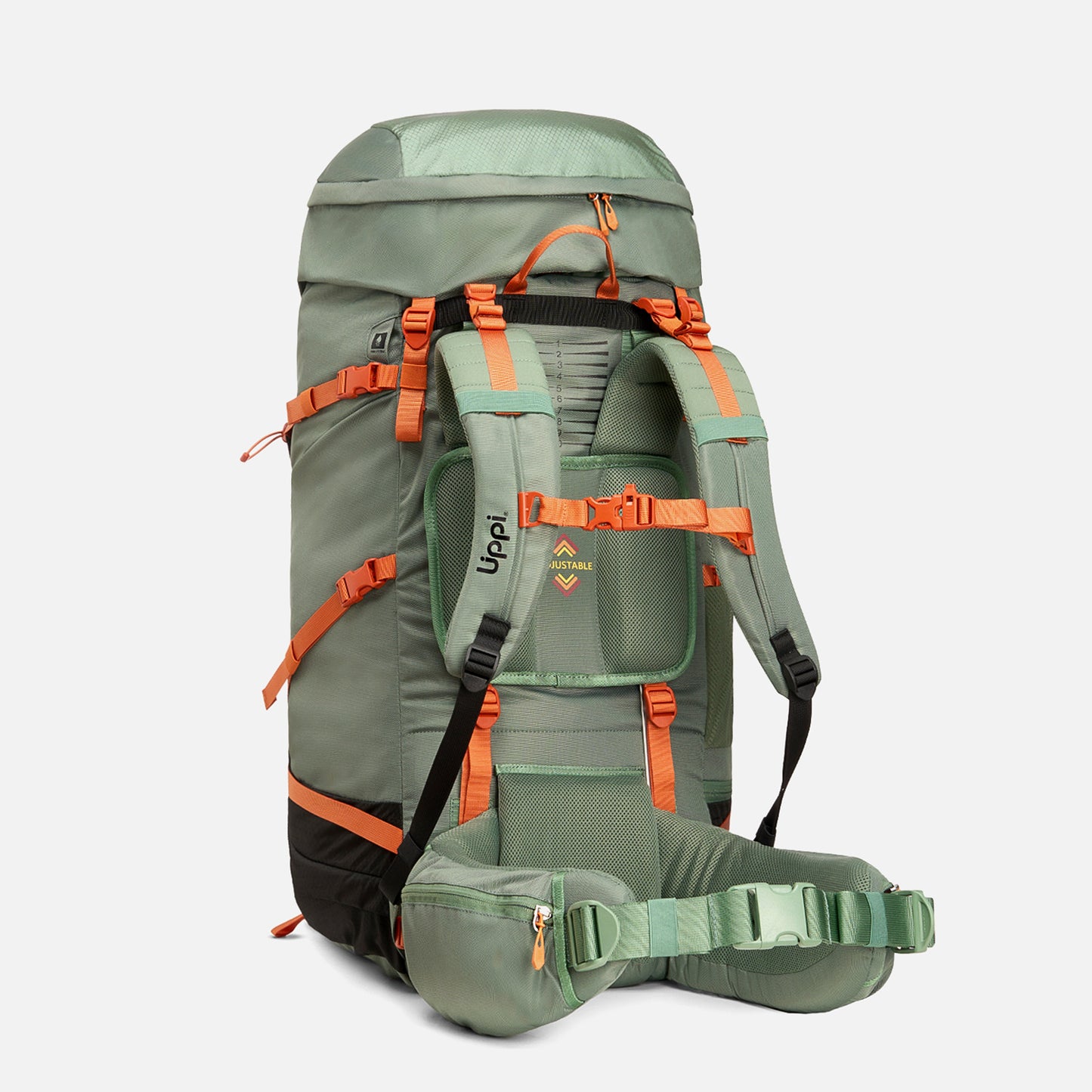 Mochila X-perience 65L Backpack Verde Lippi