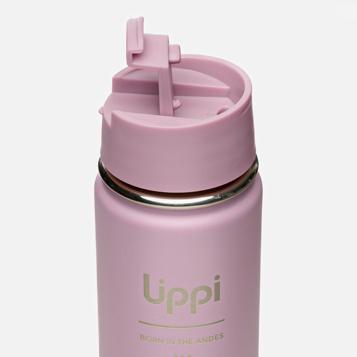 Botella Light Steel Hot Top Bottle 550 ml Rosa Oscuro Lippi