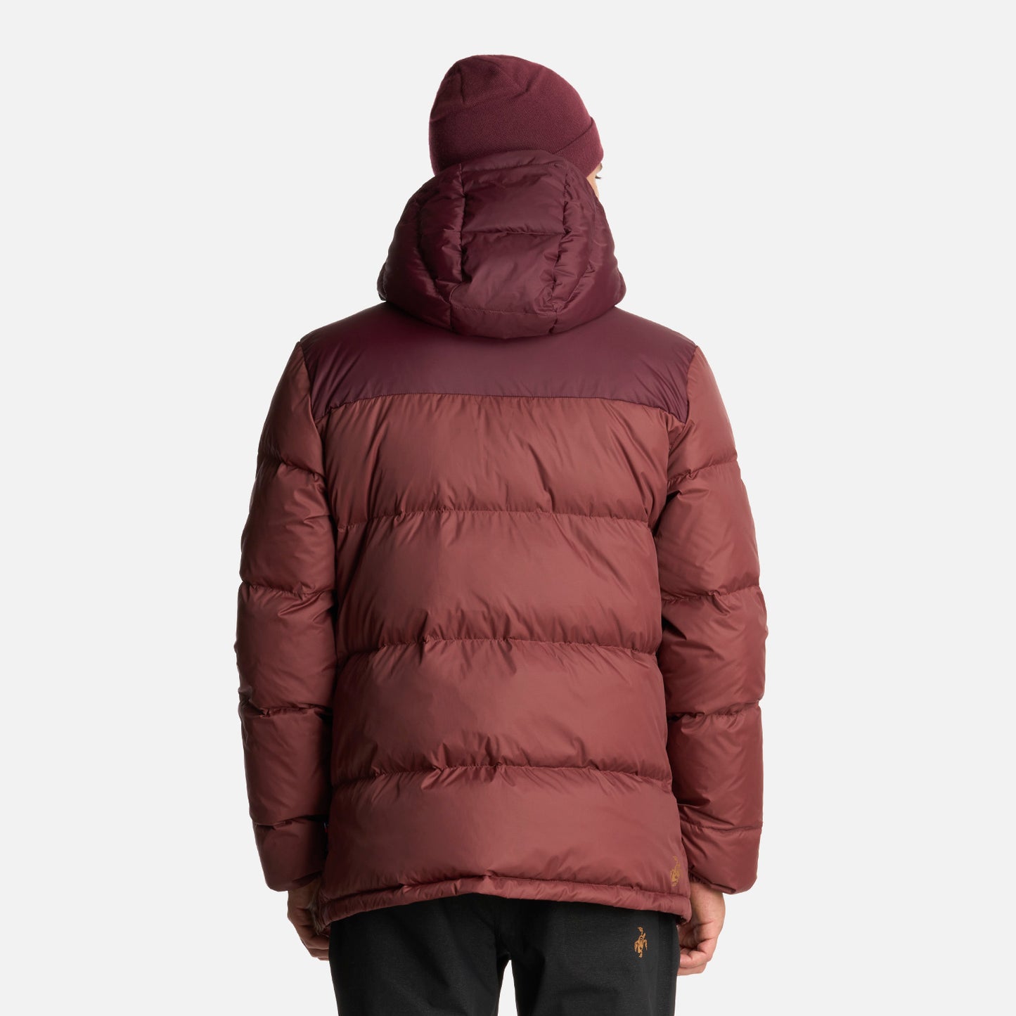Chaqueta Hombre Campo Base Vino Haka Honu