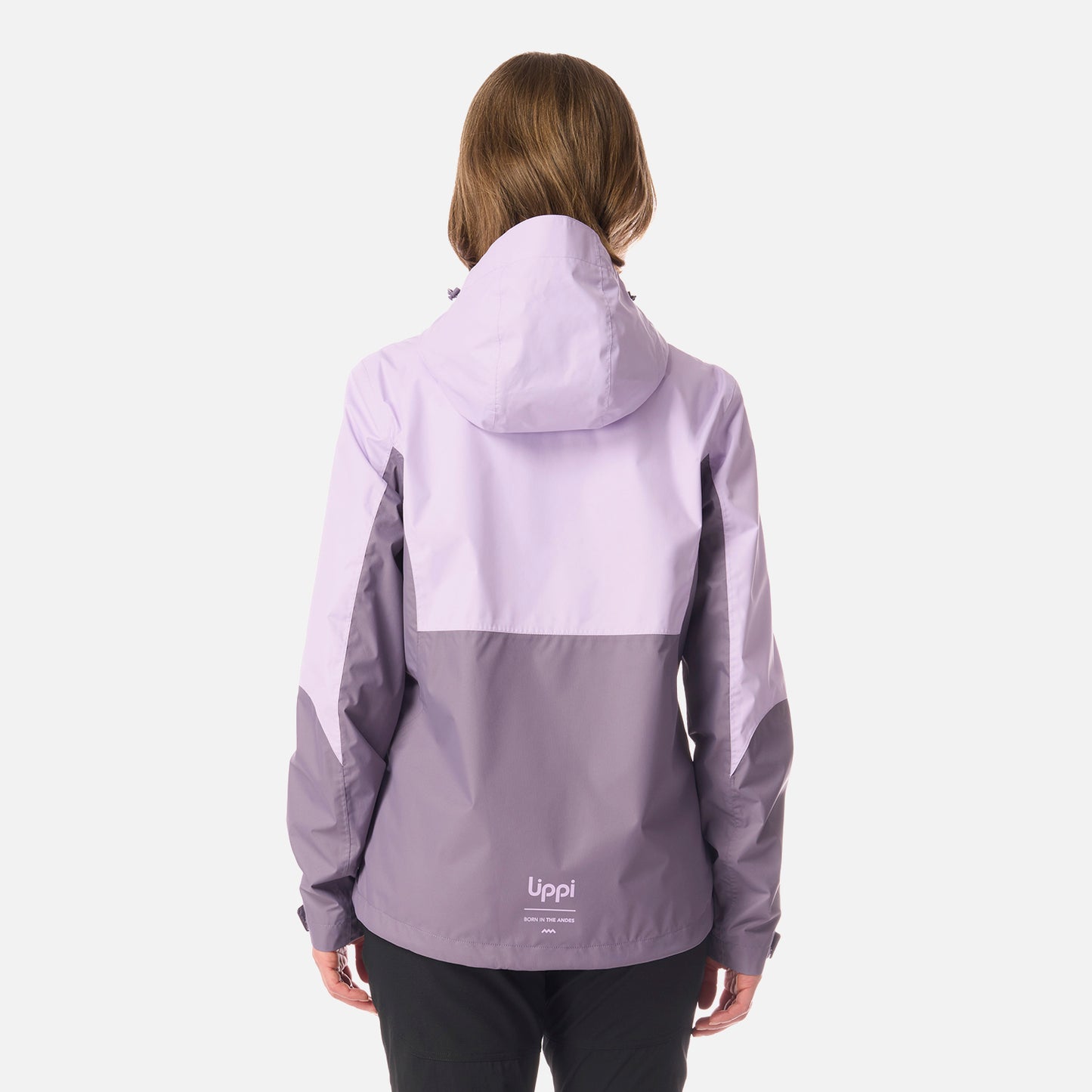 Chaqueta Mujer Blizzard B-Dry Hoody Jacket Violeta Lippi