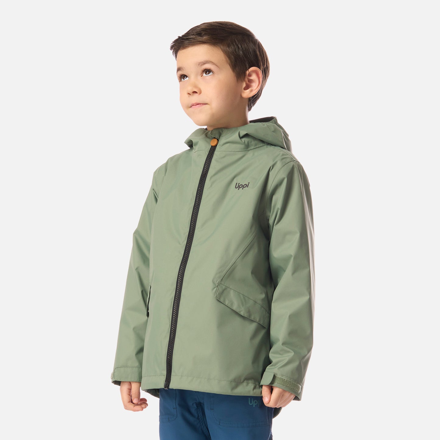 Chaqueta Niño Snowball Fusion-3 Hoody Jacket Jade Oscuro Lippi
