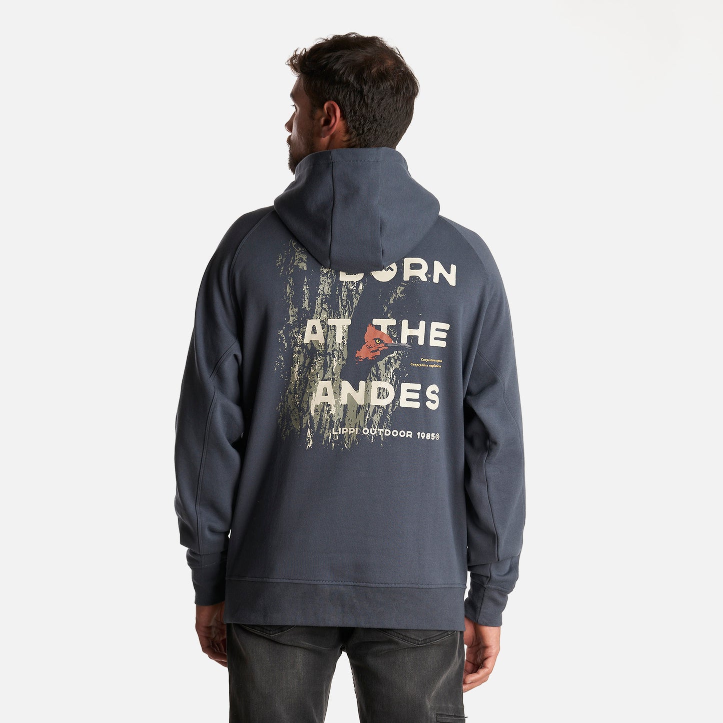Poleron Hombre Insigne Hoody Sweatshirt Back Print Azul Noche Lippi