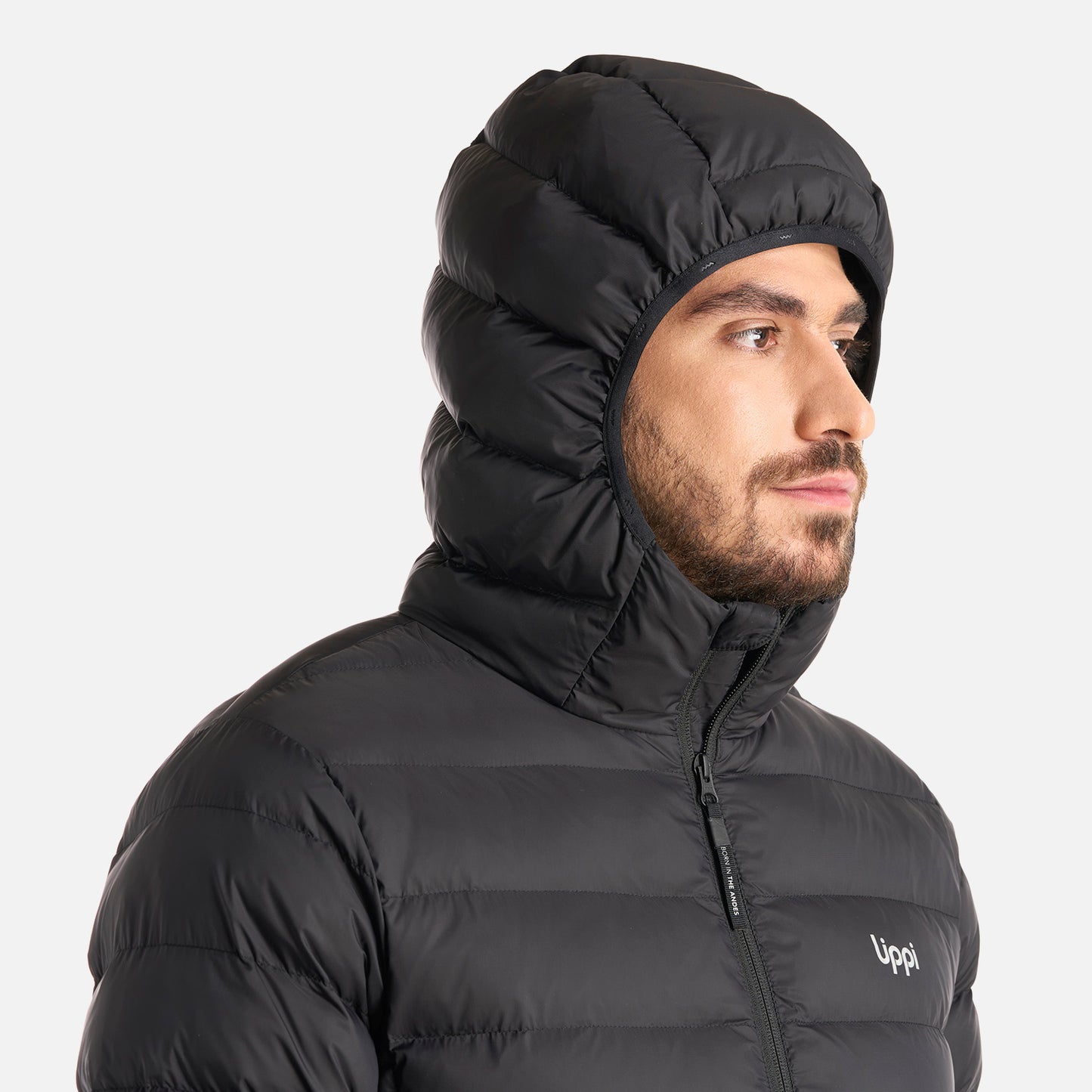 Chaqueta Hombre Vertex Down Hoody Jacket Negro Lippi