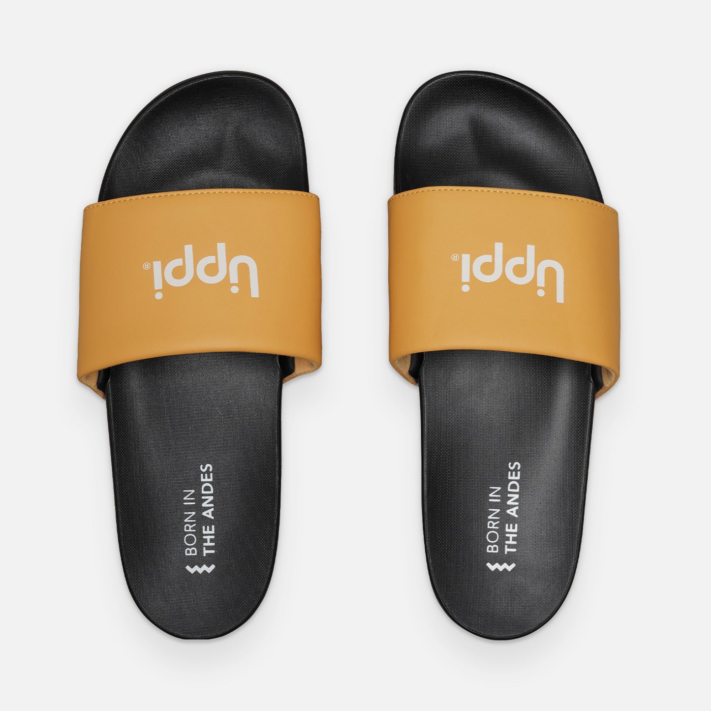 Sandalia Hombre Insigne Slide Mostaza Lippi