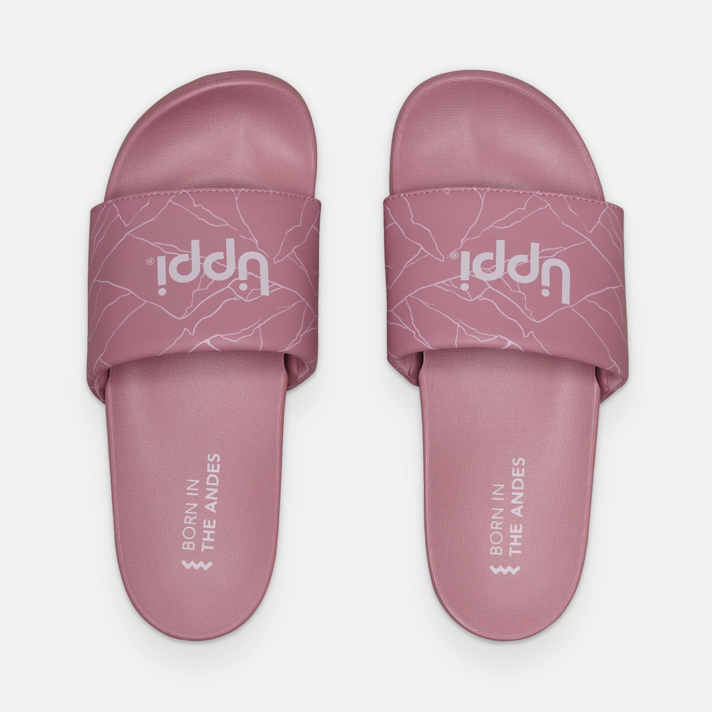 Sandalia Mujer Insigne Slide Print Rosa Oscuro Lippi