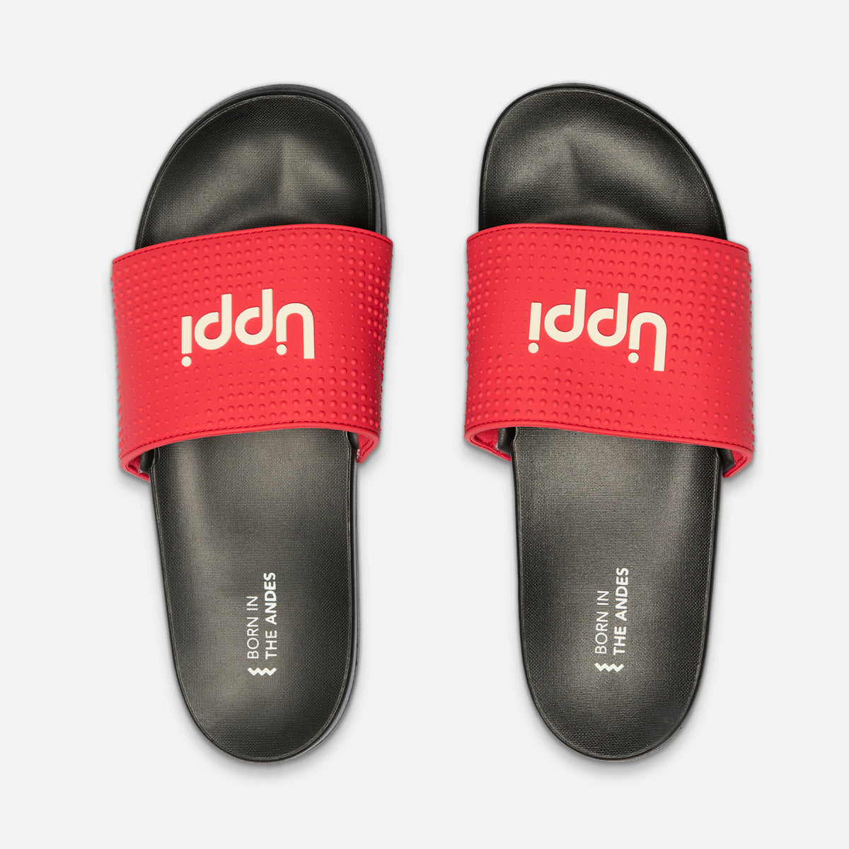 Sandalia Hombre Insigne Slide II Negro / Rojo Lippi