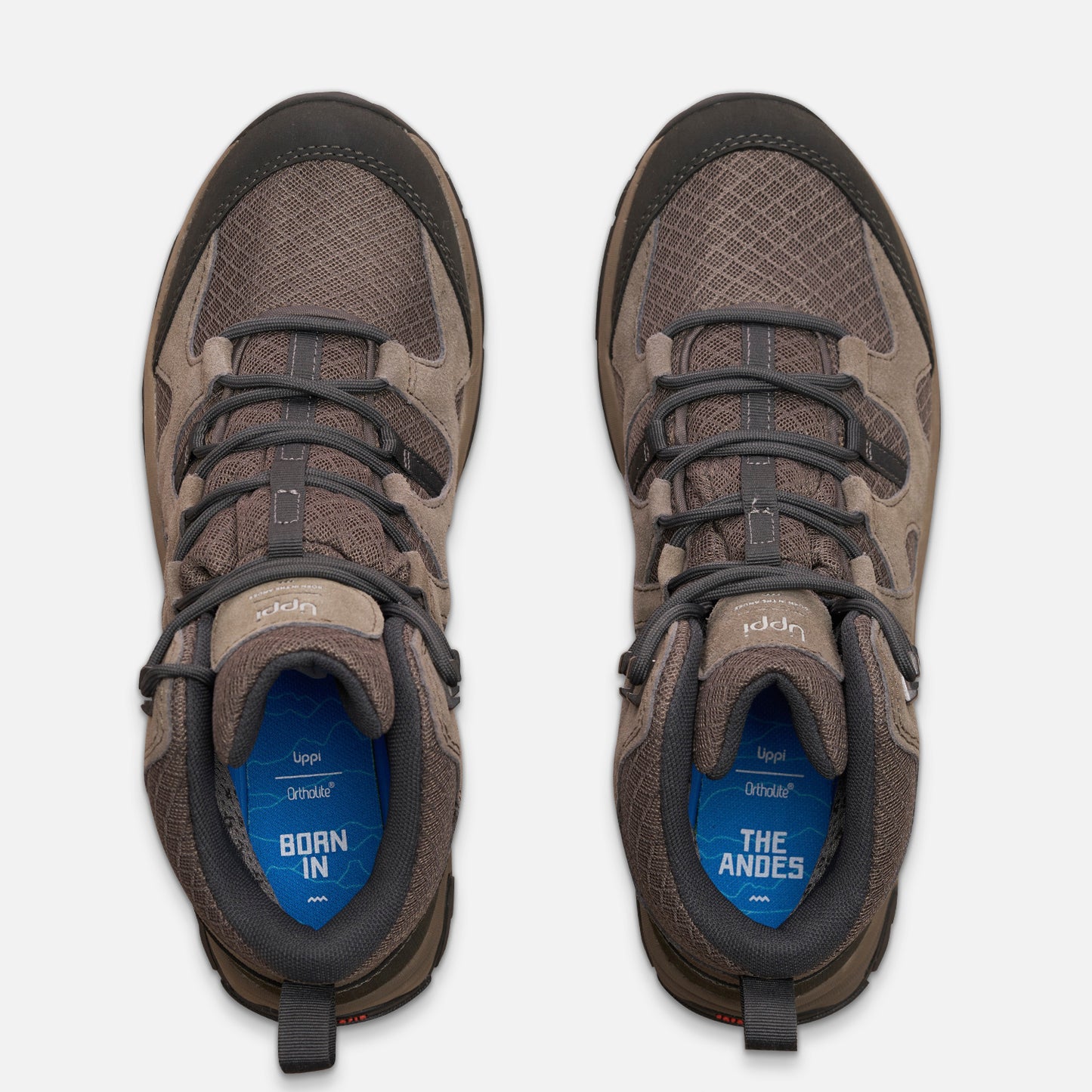 Botín Hombre Tellus Mid Taupe Oscuro Lippi