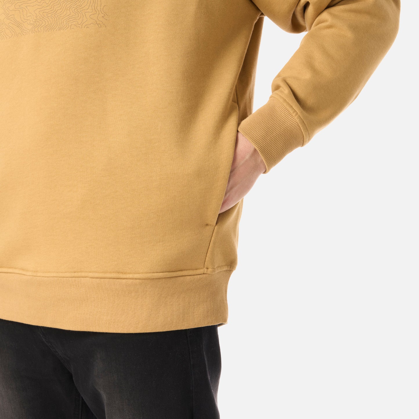 Polerón Hombre Insigne Hoody Sweatshirt Front Print Camel Lippi