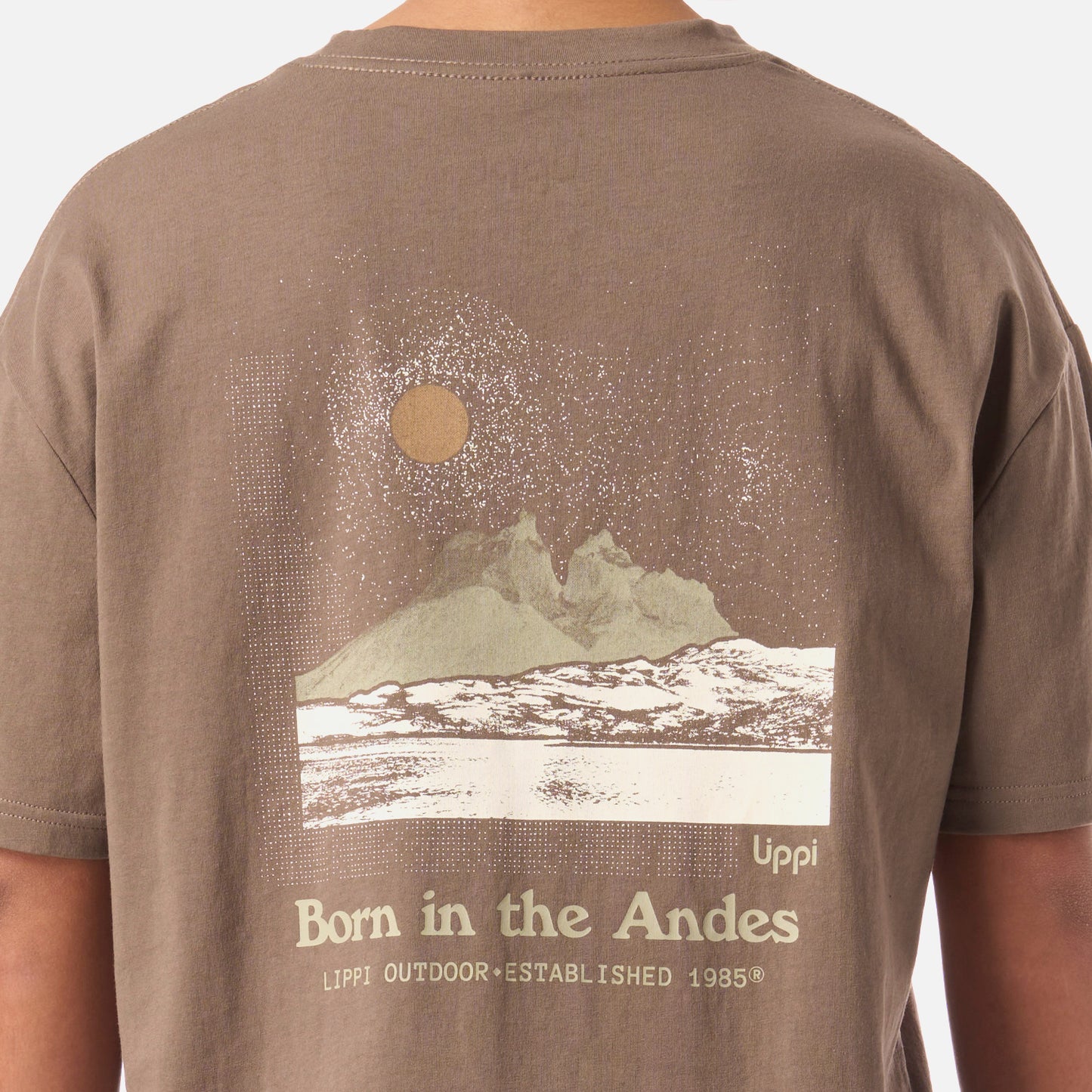 Polera Teen Boy Mountain Trip Oversize T-Shirt Café Lippi