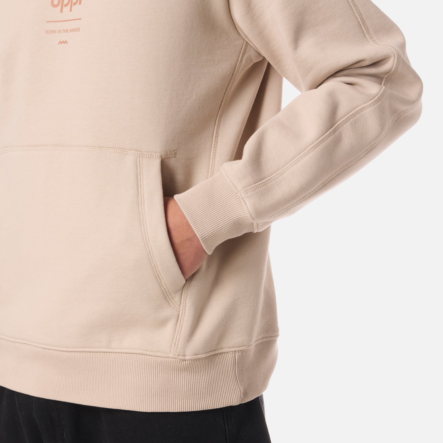 Polerón Teen Boy Ulmo Mid Point Hoody Sweatshirt Beige Lippi