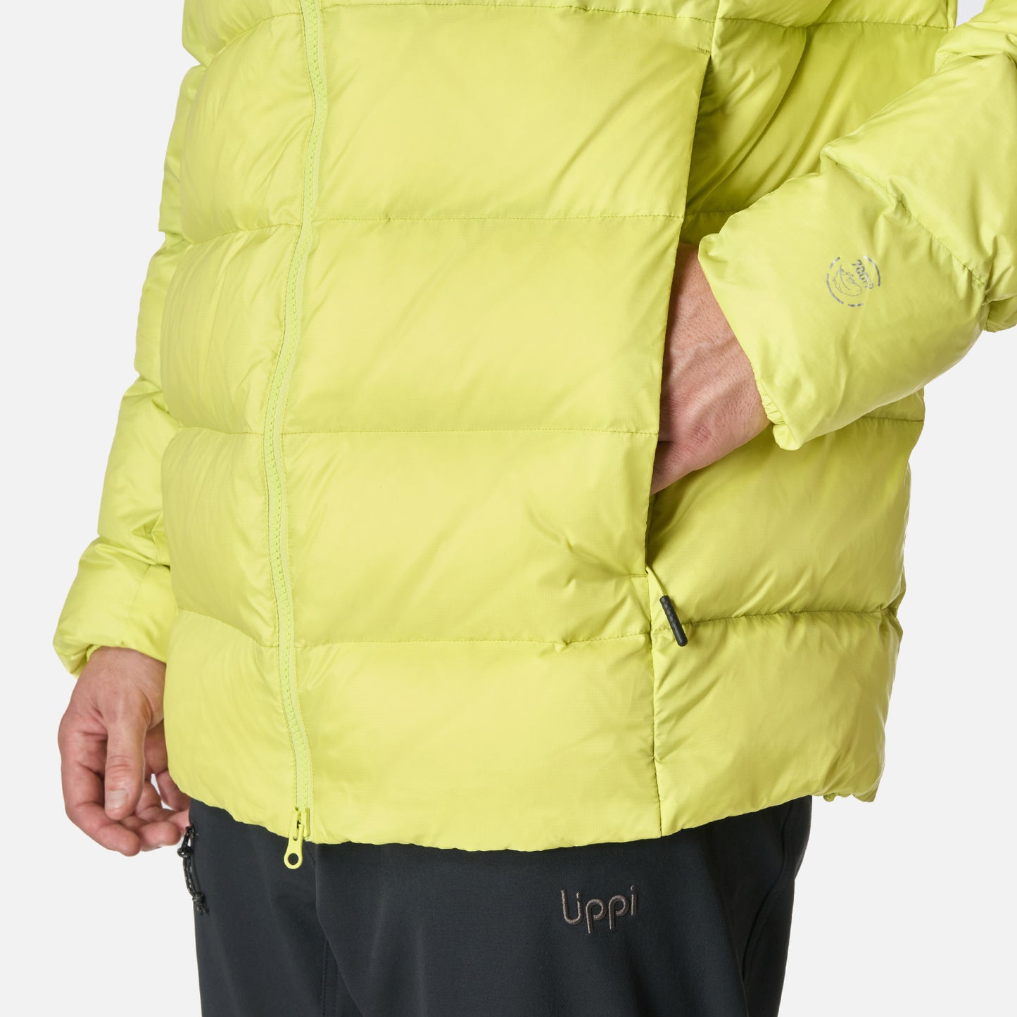 Chaqueta Hombre Rokko Down Hoody Jacket Verde Lima Lippi