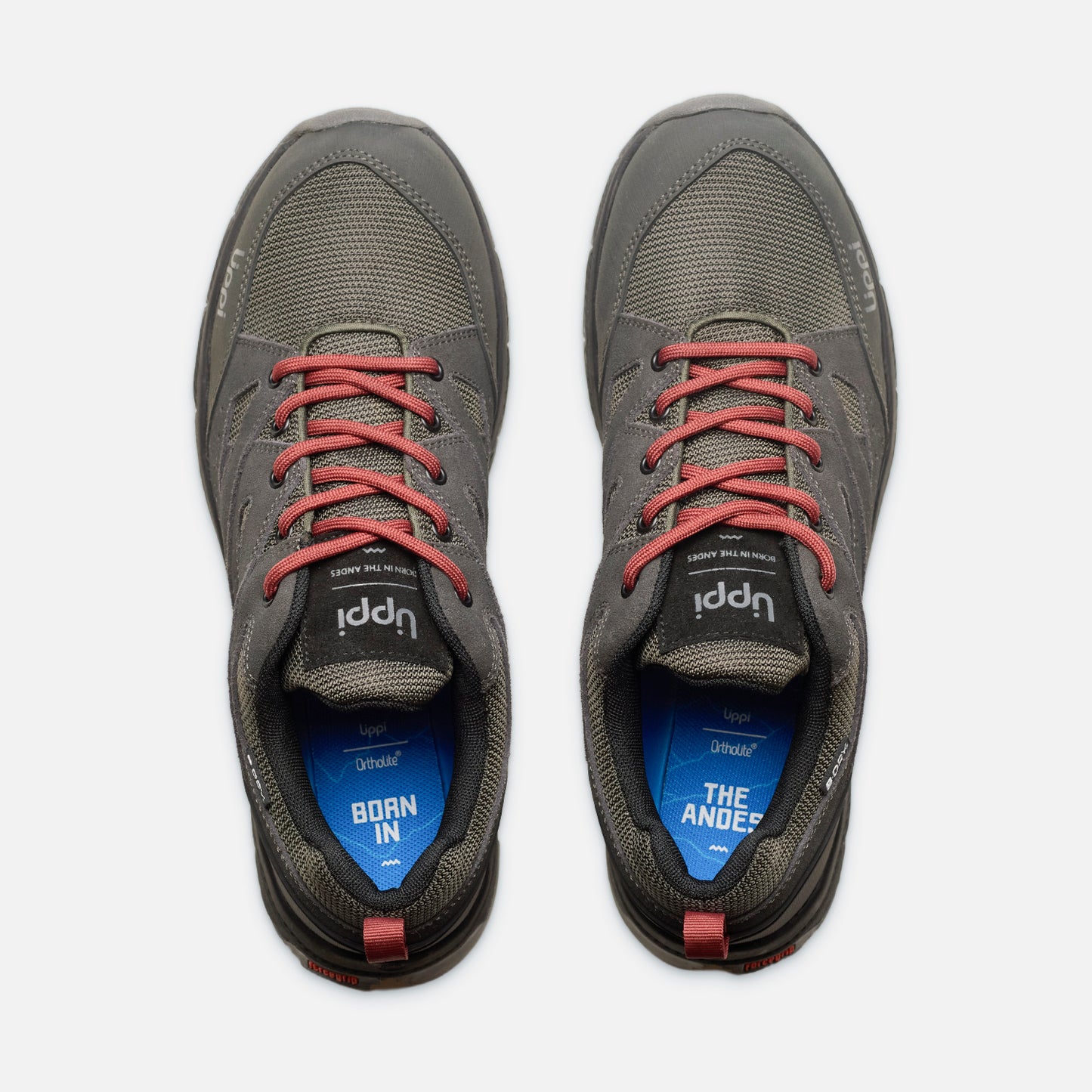 Zapatilla Hombre Tellus Low II Gris Lippi