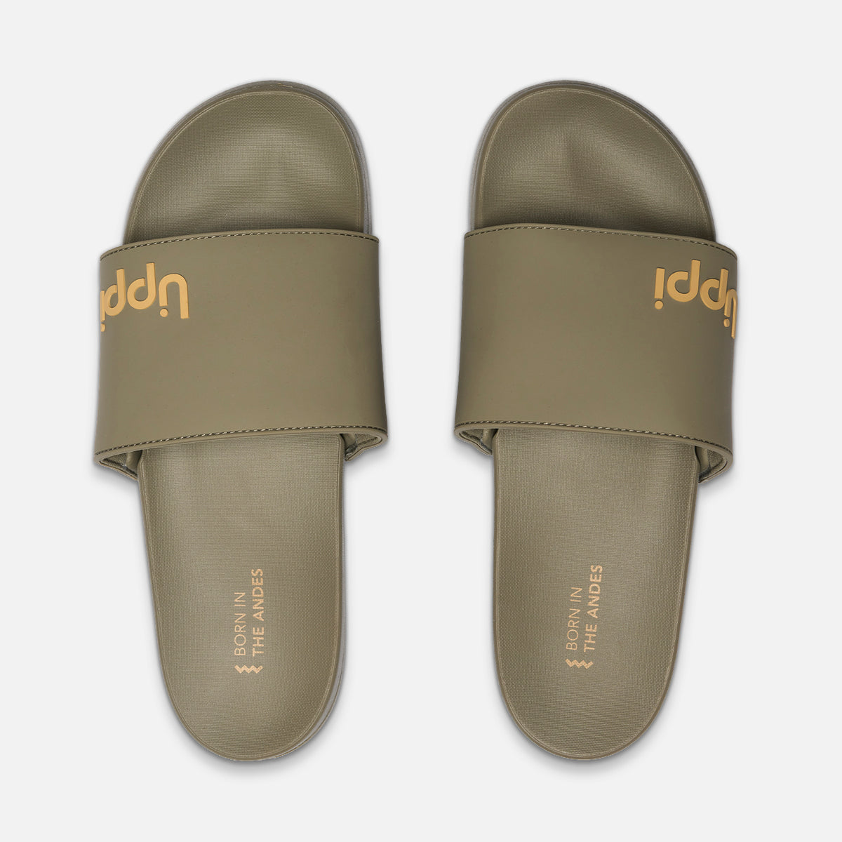 Sandalia Hombre Insigne Slide II Verde Oliva / Camel Lippi