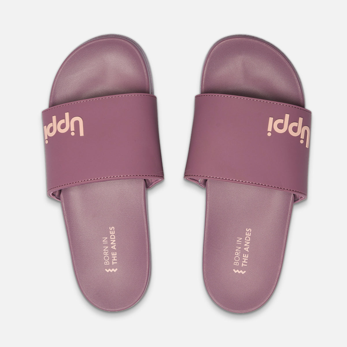 Sandalia Mujer Insigne Slide II Vino / Rosa Lippi