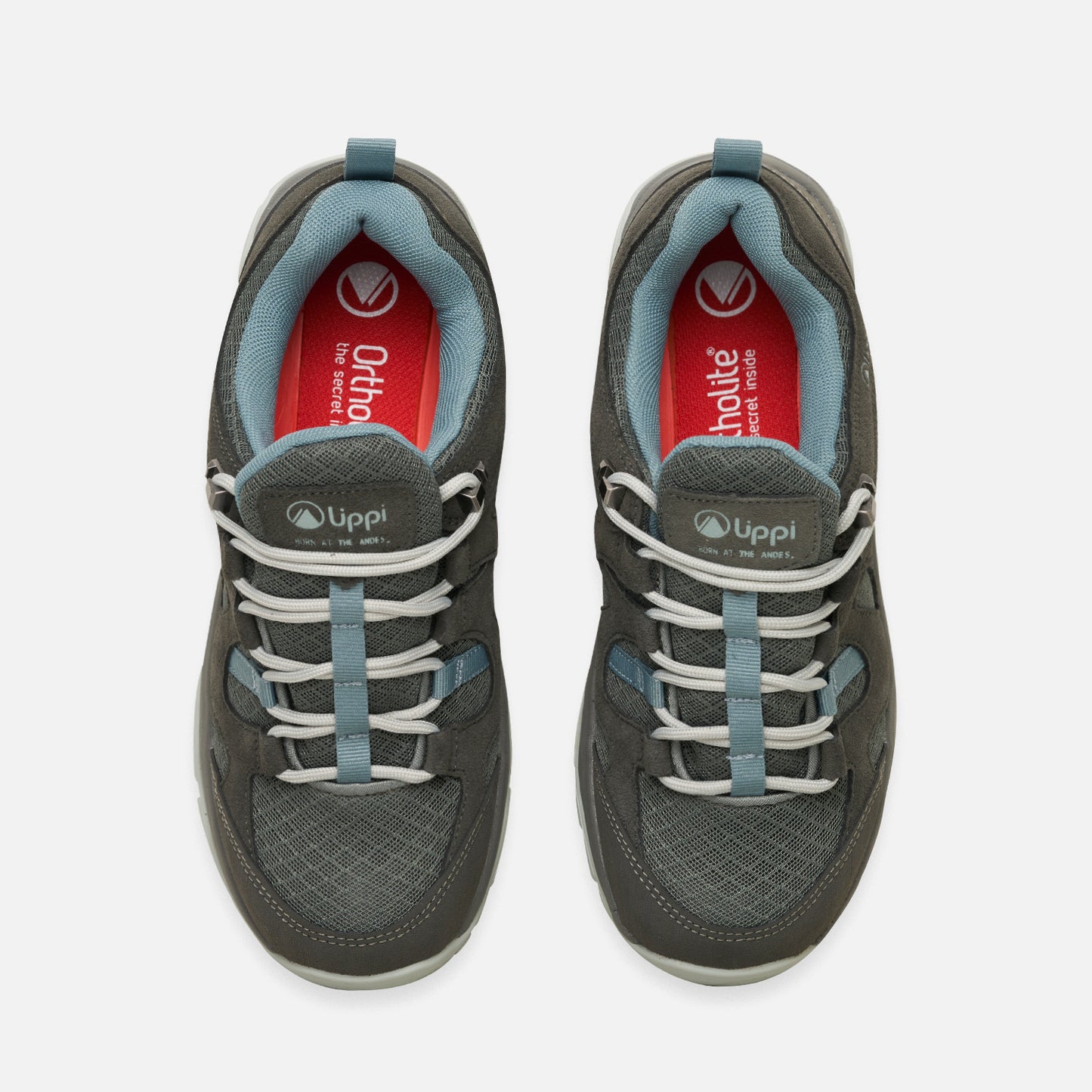 Zapato Mujer Tellus Low Acero Oscuro Lippi