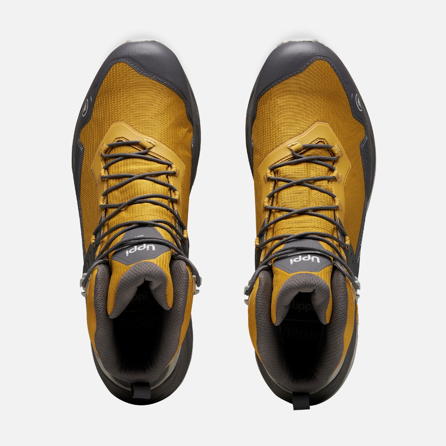 Zapatilla Hombre Atlas Mid Mostaza / Grafito Lippi