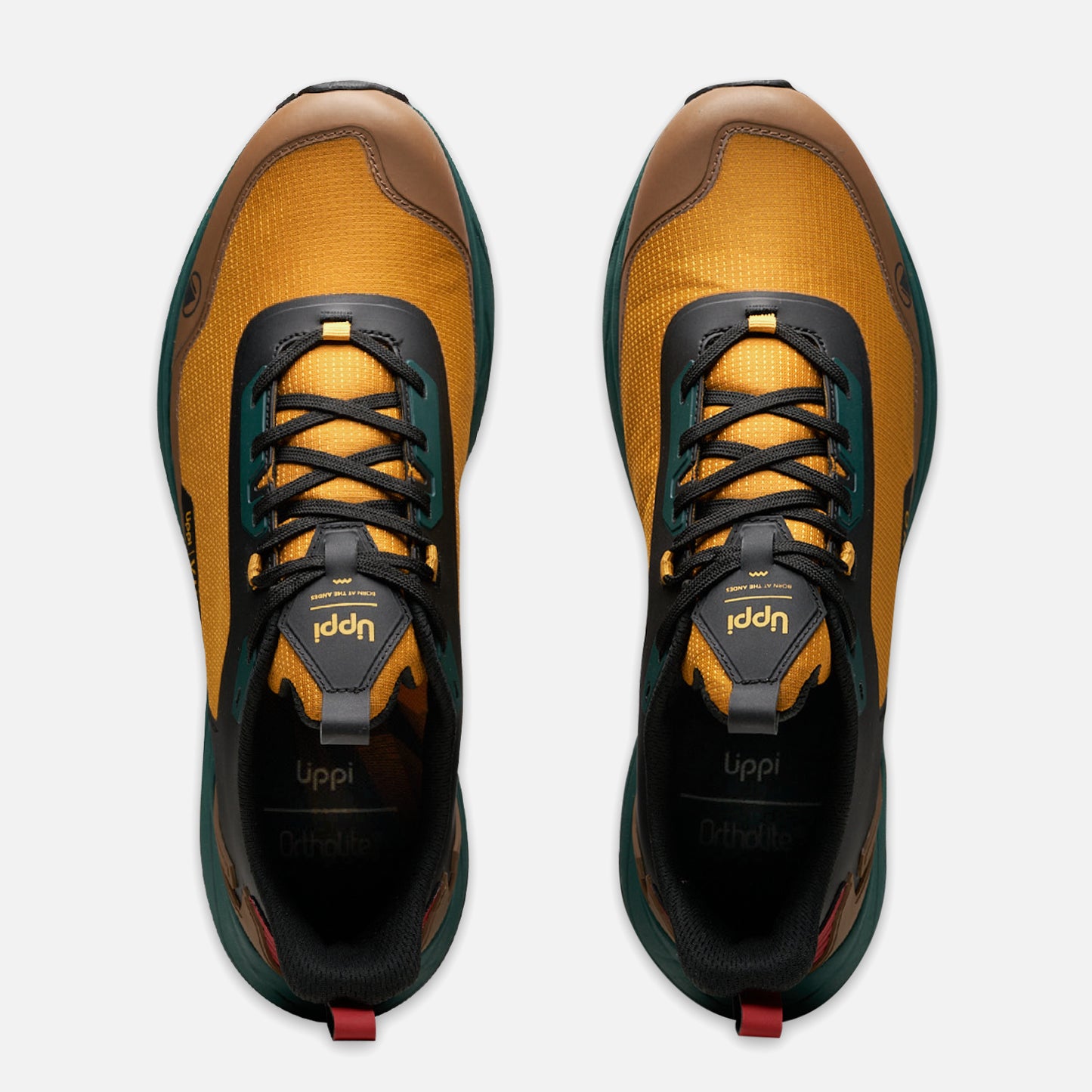 Zapatilla Hombre Kronos Mostaza / Negro Lippi