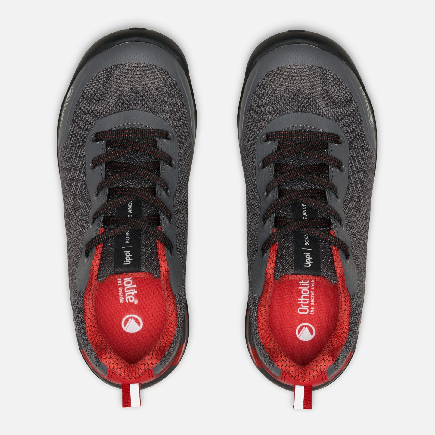 Zapatilla Niño  Intense Hike Kids Low Grafito Rojo Lippi