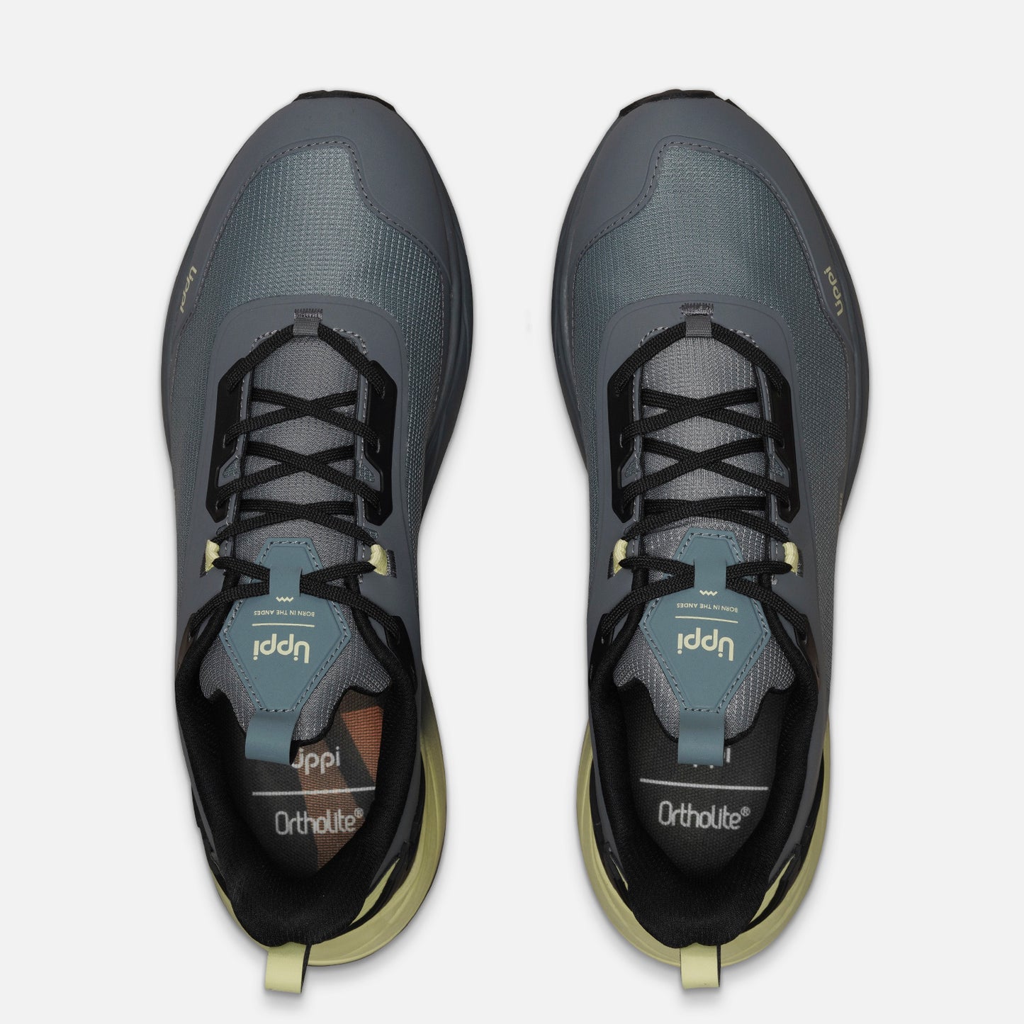 Zapatilla Hombre Kronos Acero / Amarillo Lippi