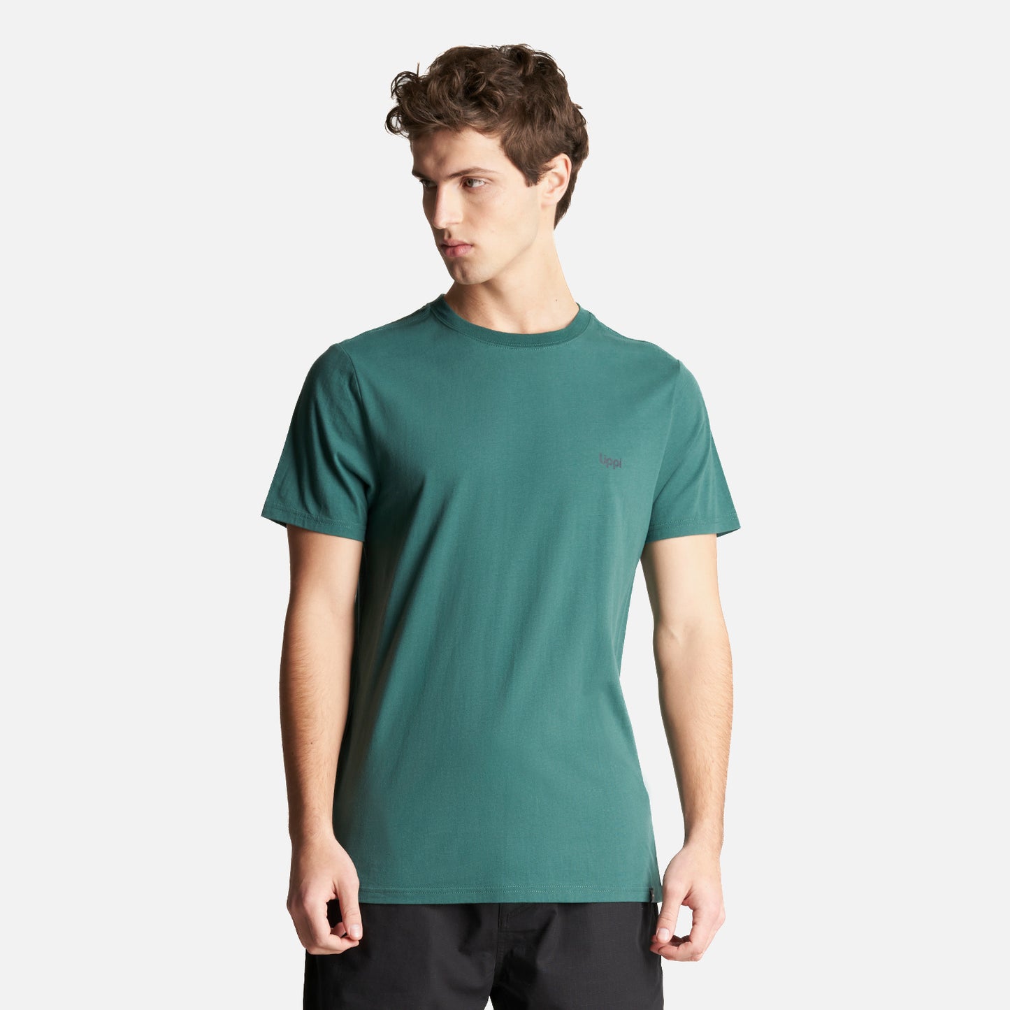 Polera Hombre Andes Old Climbing T-Shirt Verde Bosque Lippi