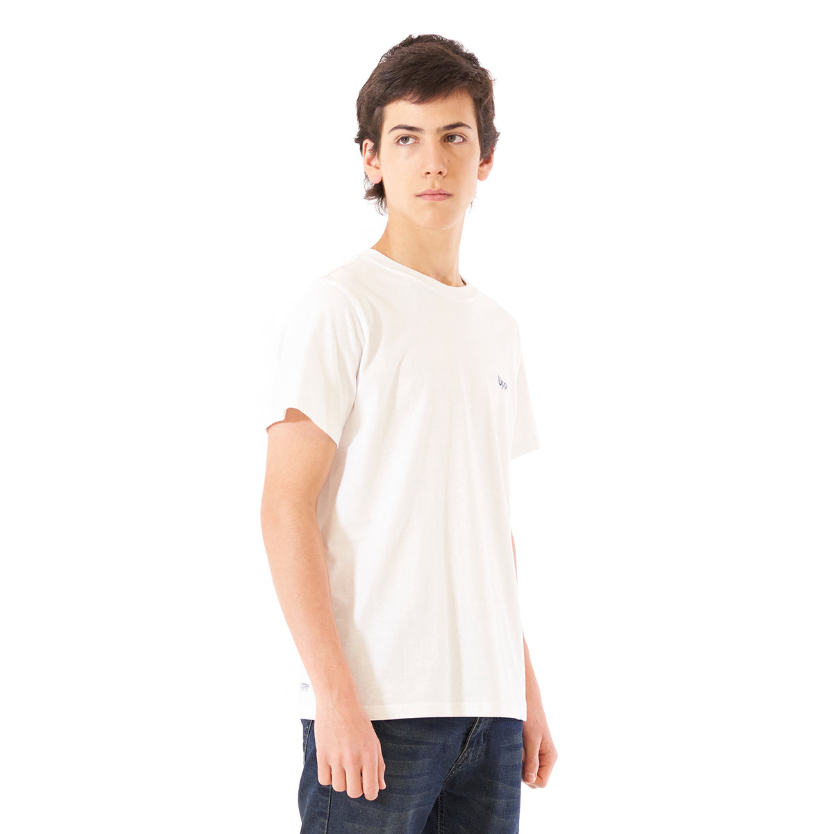Polera Teen Boy Mountain UV-Stop T-Shirt Blanco Lippi